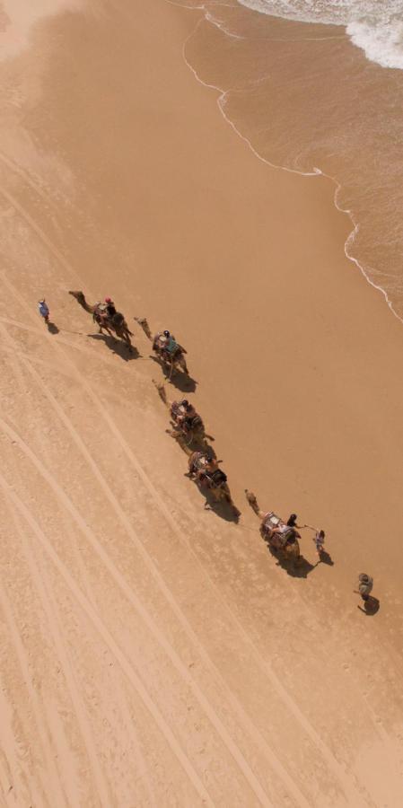 Ozzie Pozzie Backpackers Vandrehjem Port Macquarie Eksteriør billede