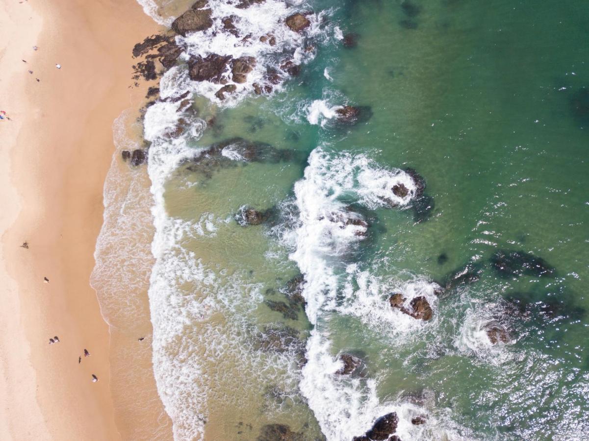 Ozzie Pozzie Backpackers Vandrehjem Port Macquarie Eksteriør billede